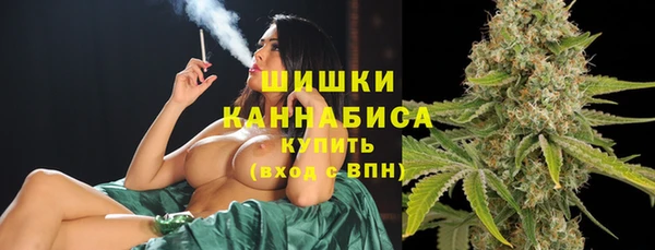 прущая мука Новодвинск