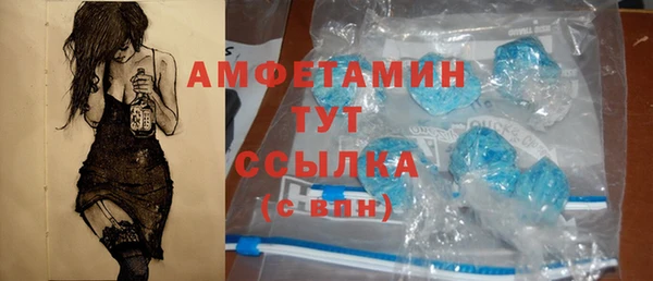 шишки Новозыбков