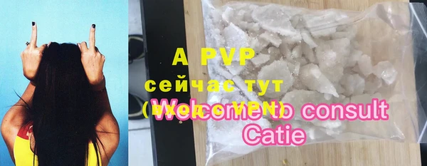 PSILOCYBIN Новокубанск
