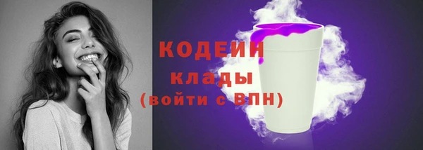 шишки Новозыбков