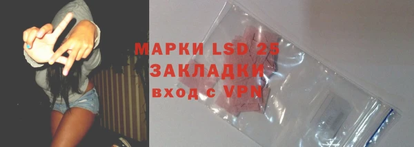 PSILOCYBIN Новокубанск