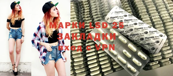 шишки Новозыбков