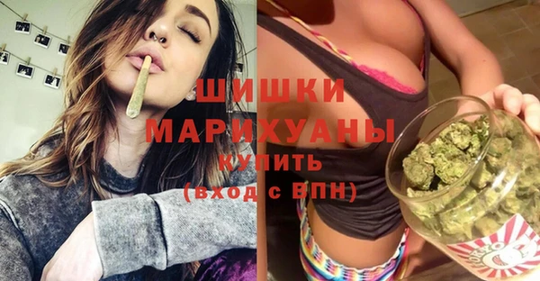 шишки Новозыбков
