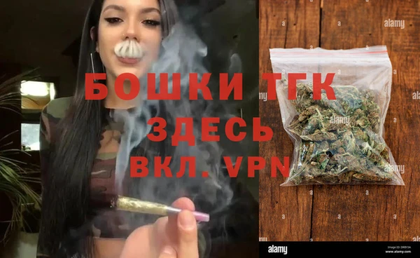 PSILOCYBIN Новокубанск