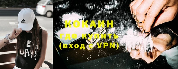 шишки Новозыбков