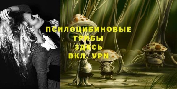 прущая мука Новодвинск