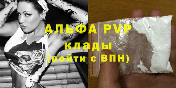 шишки Новозыбков