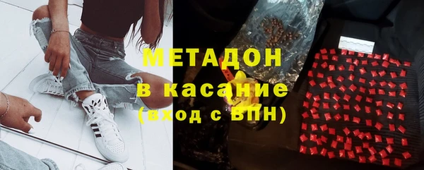 шишки Новозыбков